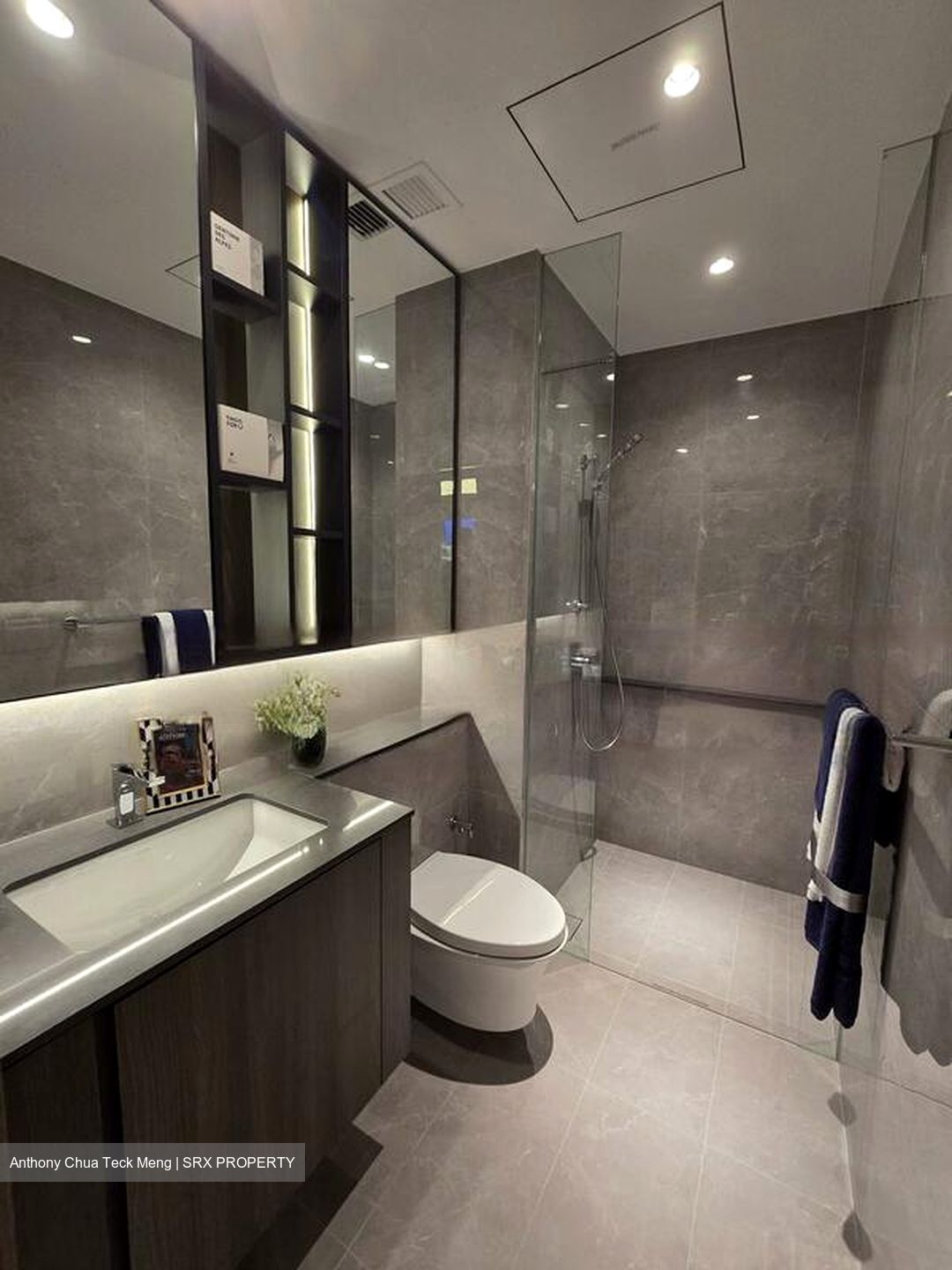 Grand Dunman (D15), Apartment #454243271